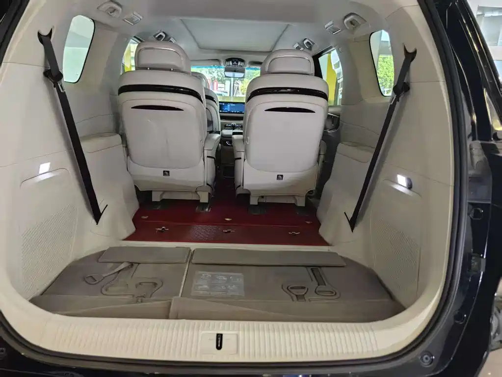 DONGFENG OTHER 2024