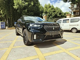 Заказать WEY VV7