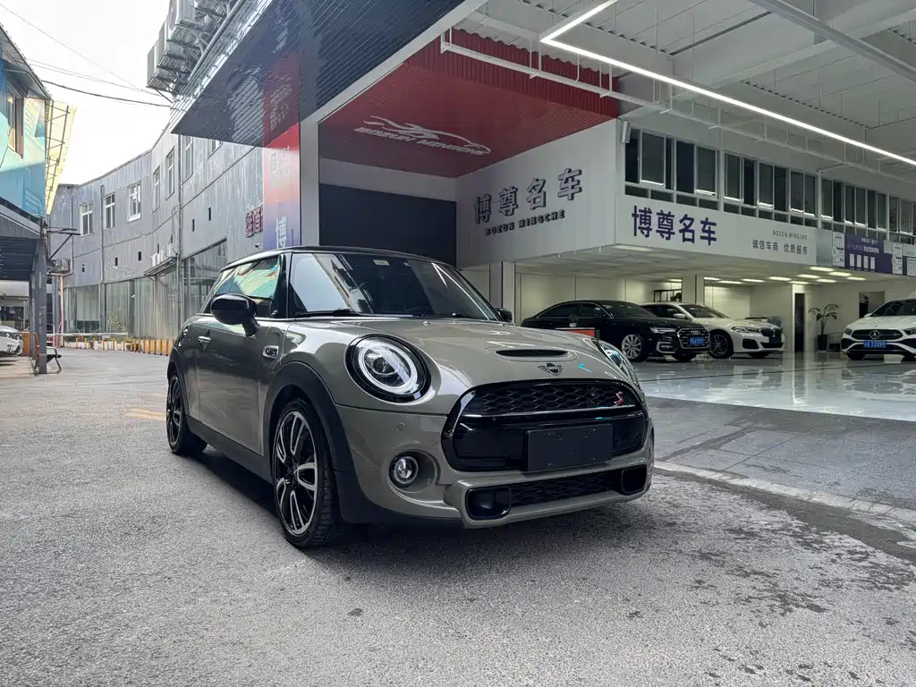 MINI OTHER 2020