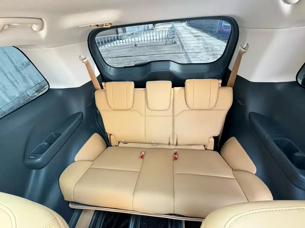 TRUMPCHI E8 NEW ENERGY 2024