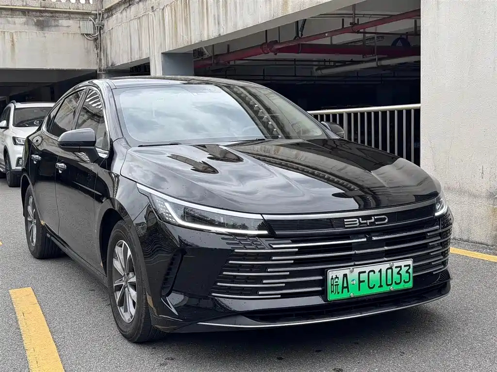 BYD DESTROYER 05 2024