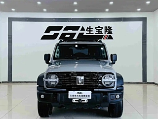 TANK 300  2021