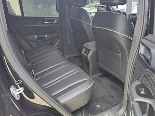 TANK 300  2021 YEAR  EDITION 2.0T 2021