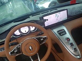 ORA LIGHTNING CAT 2022 YEAR 555KM PREMIUM EDITION 2022