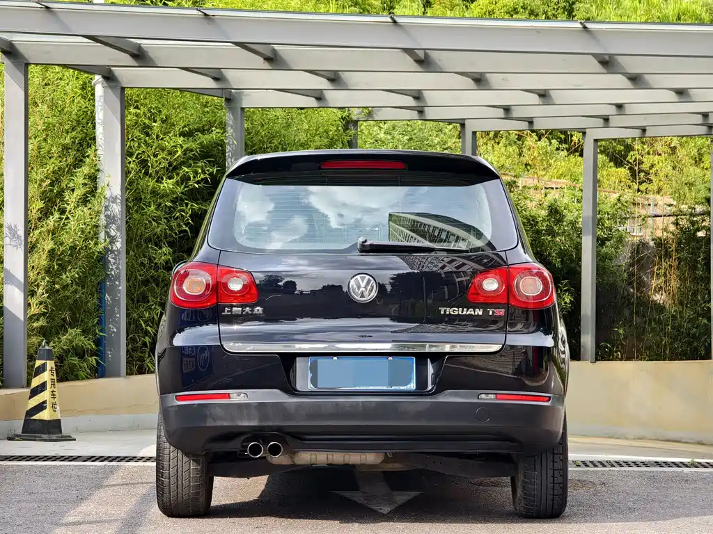 VOLKSWAGEN TIGUAN 2010