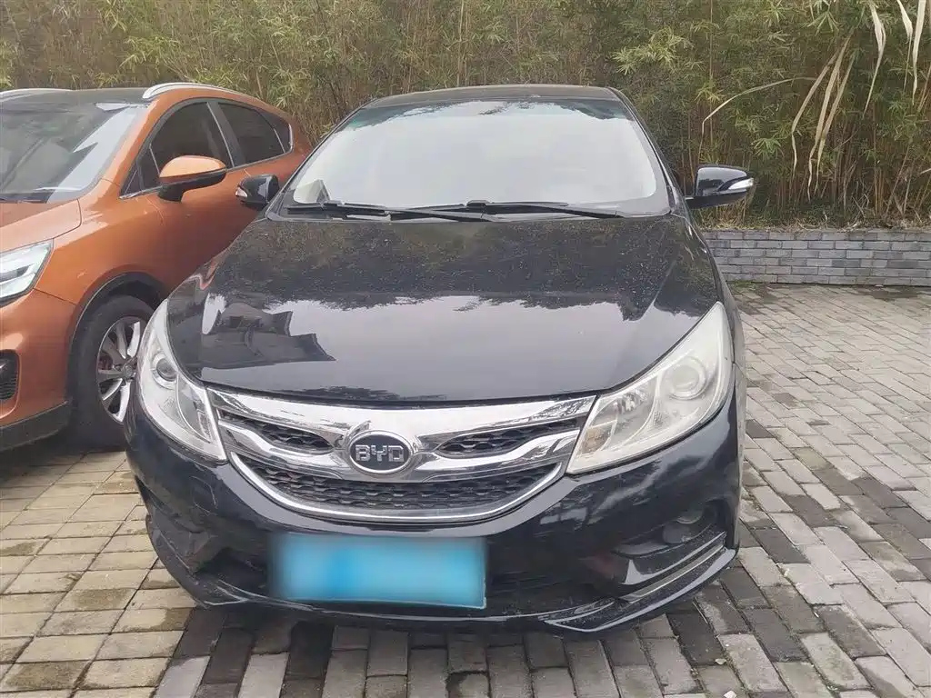 BYD OTHER 2015