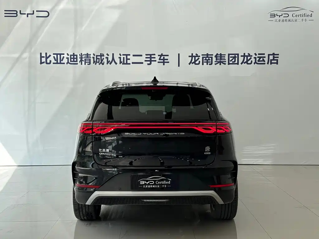 BYD TANG NEW ENERGY 2025