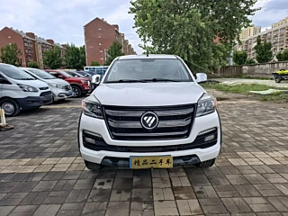 FOTON OTHER 2018