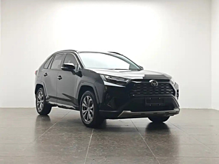 TOYOTA RAV4 RONGFANG 2024