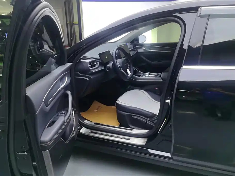 BYD DESTROYER 05 2024