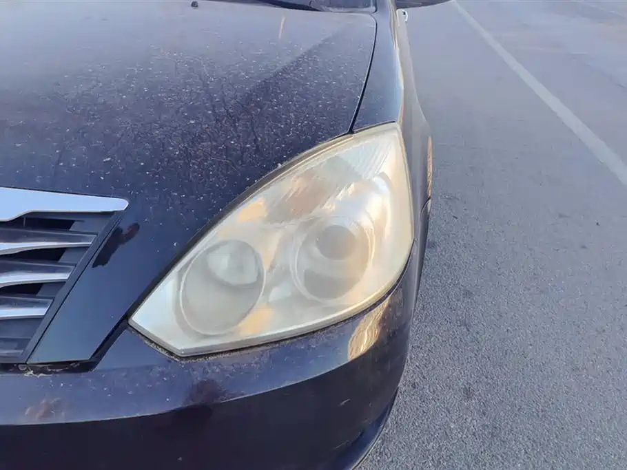 GEELY AUTO VISION 2013