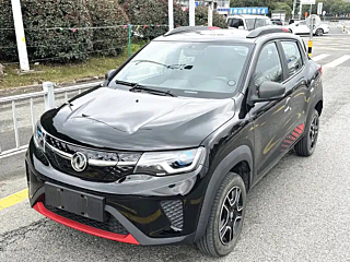 OTHER DONGFENG NAMMI EX1