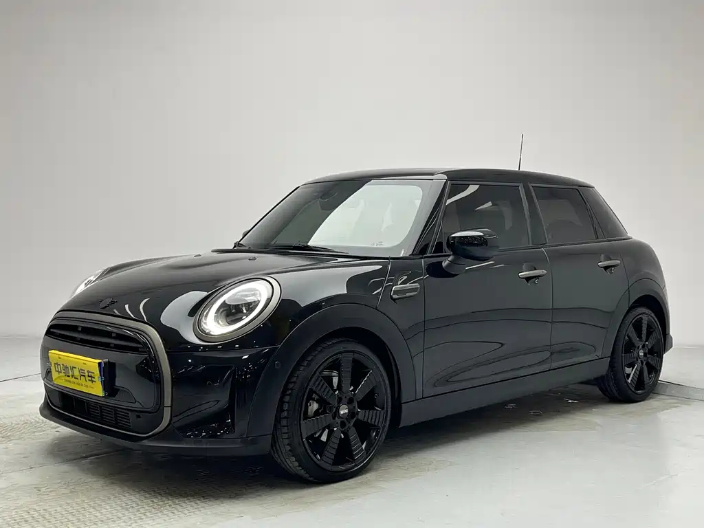 Аукционный лист MINI OTHER 2023