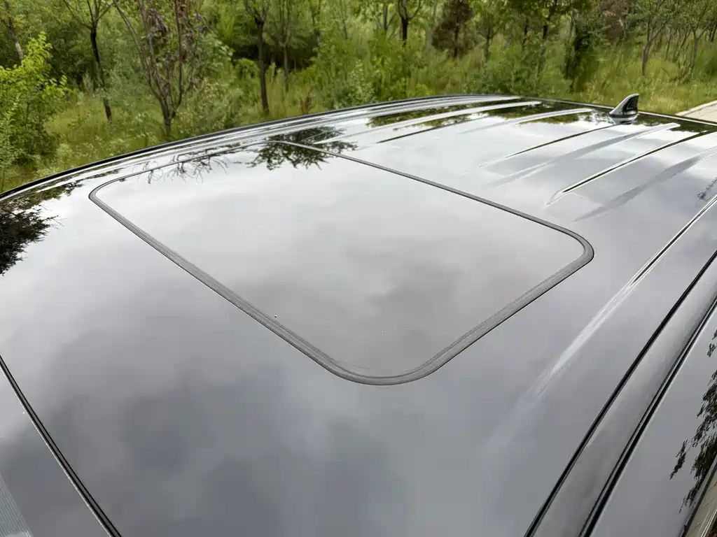 TOYOTA WILDLANDER 2022