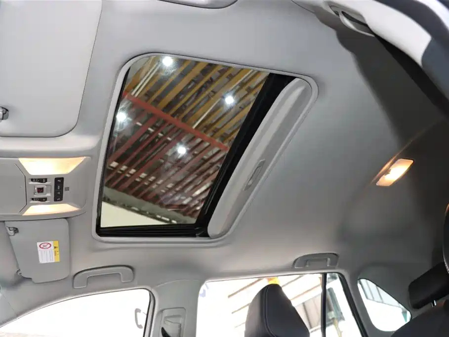 TOYOTA WILDLANDER 2022