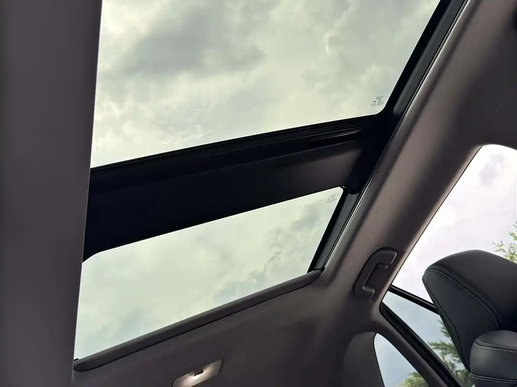 TOYOTA WILDLANDER 2023