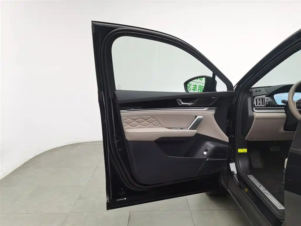 BYD TANG NEW ENERGY 2024