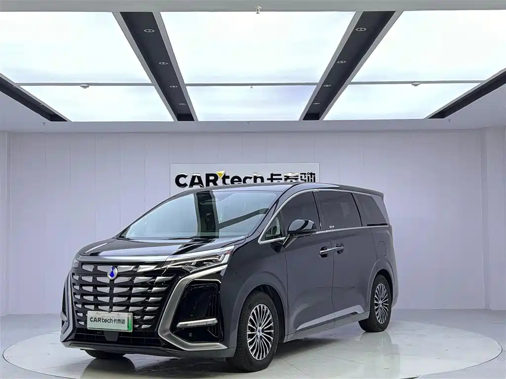 Аукционный лист DENZA D9 2024