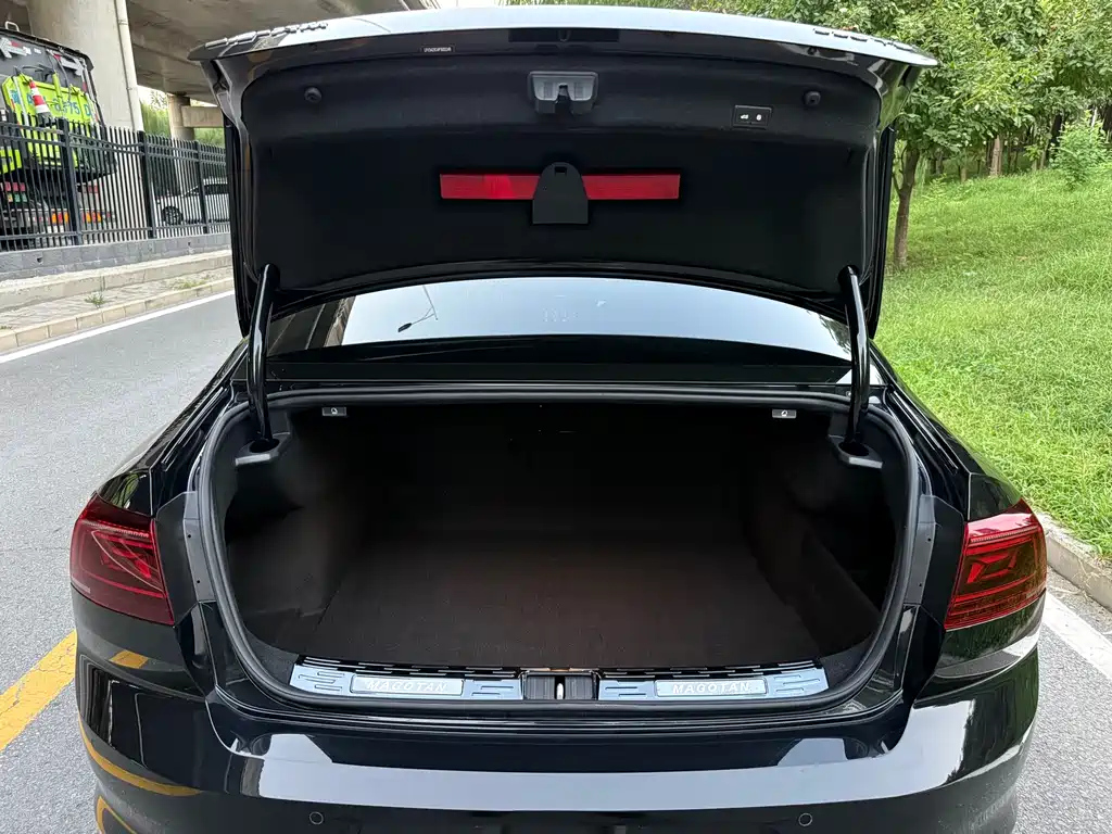 VOLKSWAGEN MAGOTAN 2023