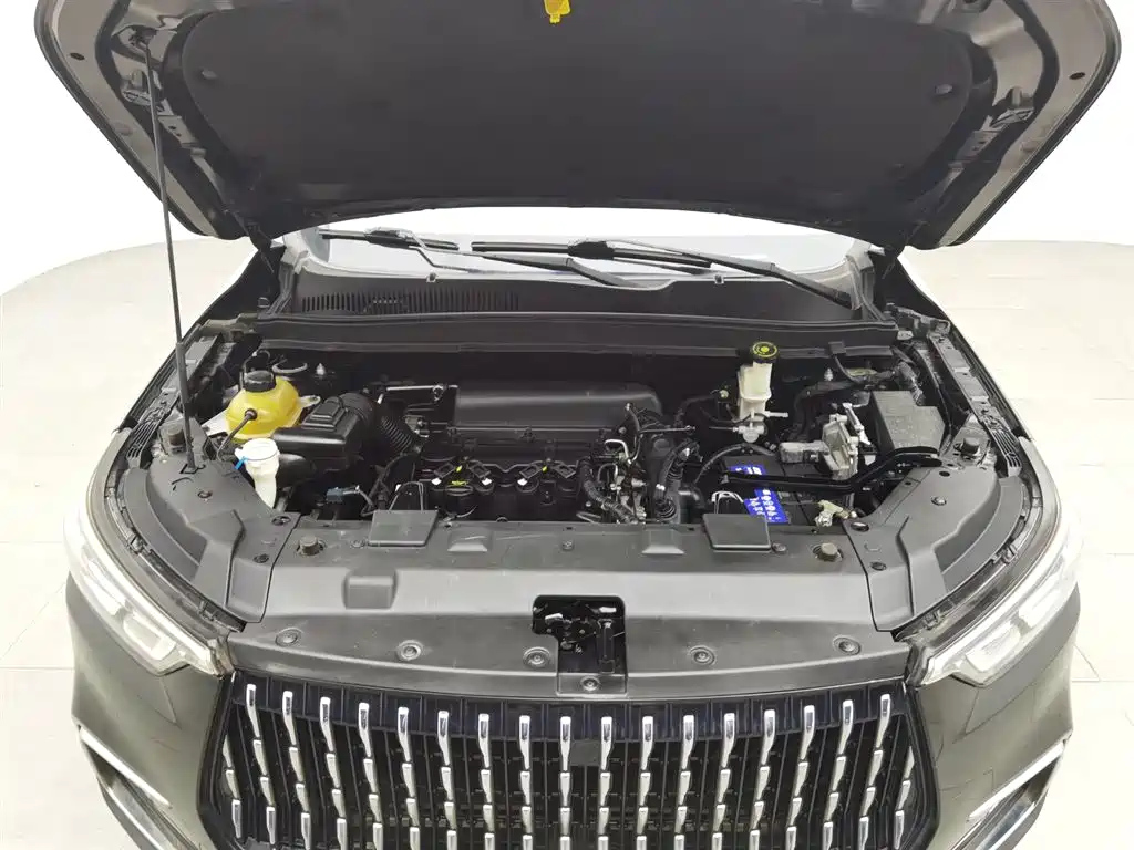 LEOPAARD MATTU 2018