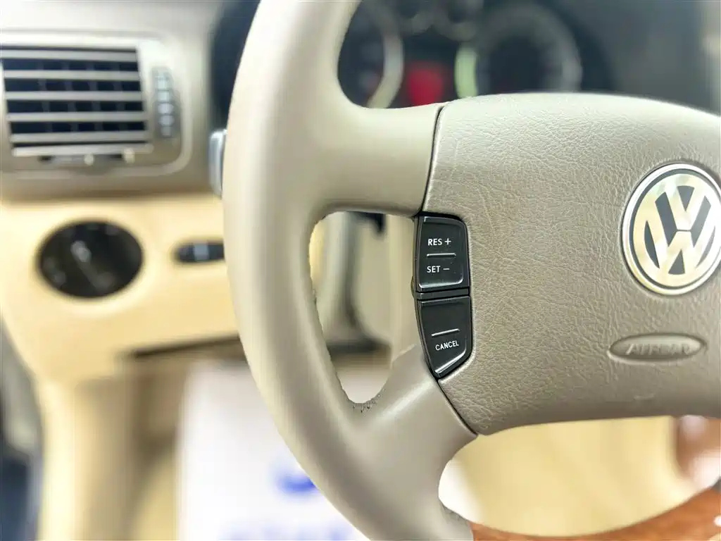 VOLKSWAGEN PASSAT LINGYU 2009