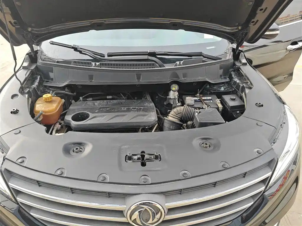 DONGFENG SCENERY 580 2020