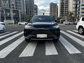 HAVAL H6S 2022