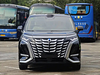 DENZA D9  2025