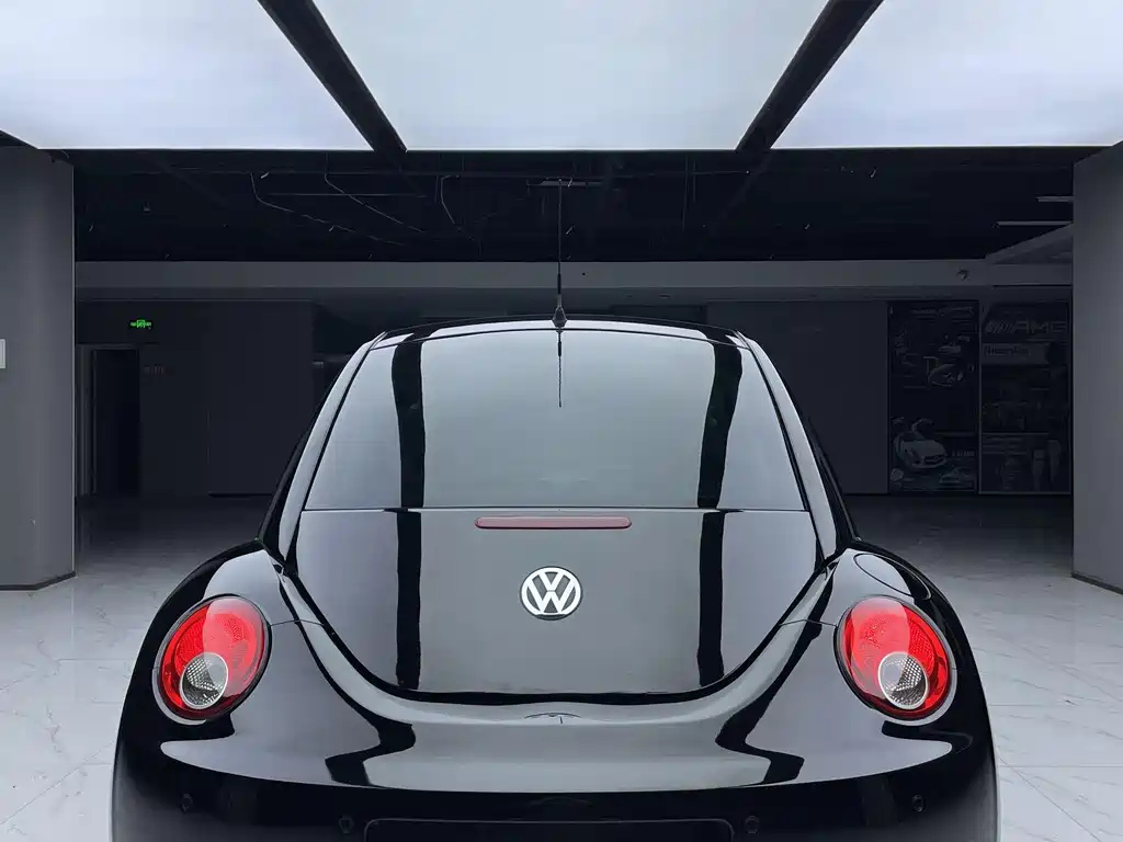 VOLKSWAGEN BEETLE 2010