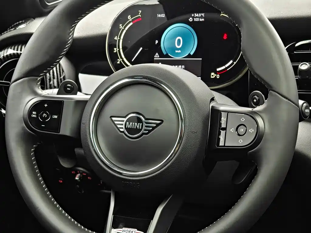 MINI OTHER 2022