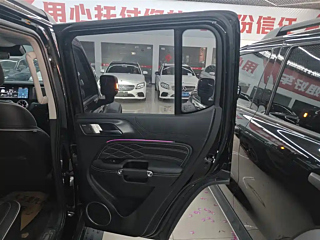 TANK 300  2024 YEAR 2.0T 2024