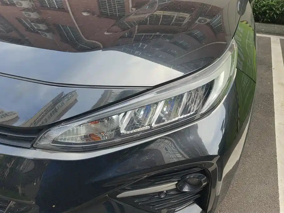 TOYOTA WILDLANDER 2020