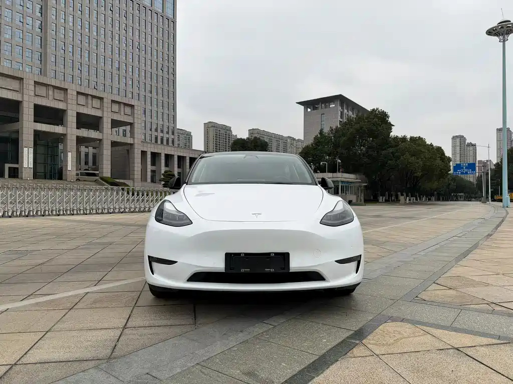 TESLA MODEL Y 2021