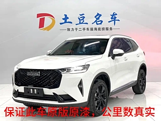 HAVAL H6  2021