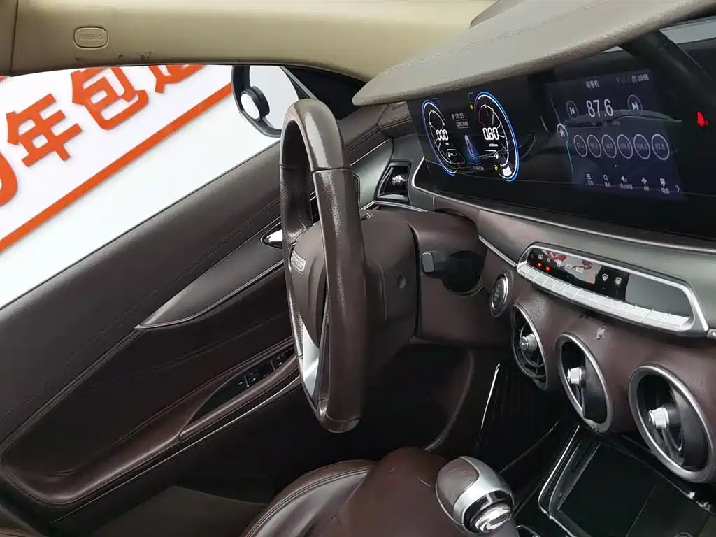 LEOPAARD MATTU 2018