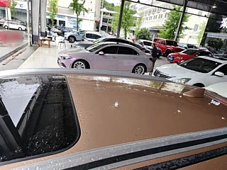 catalog-car-31