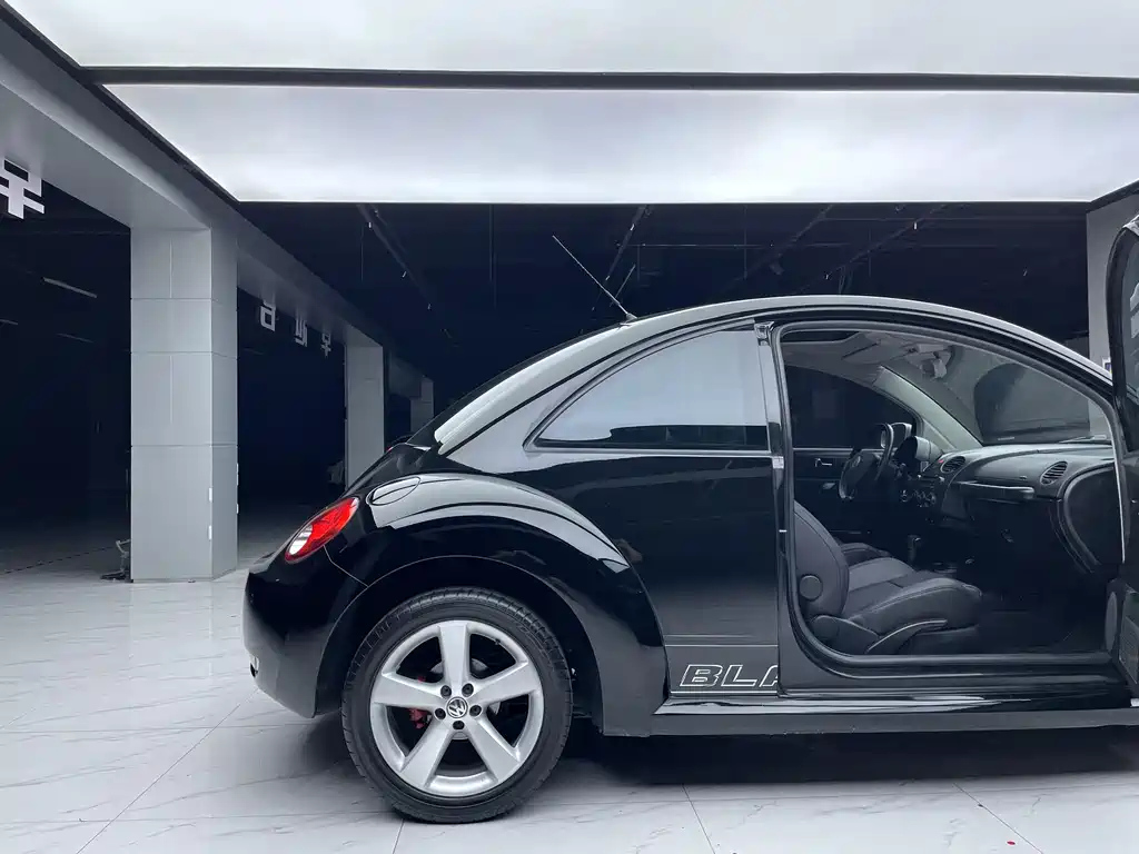 VOLKSWAGEN BEETLE 2010