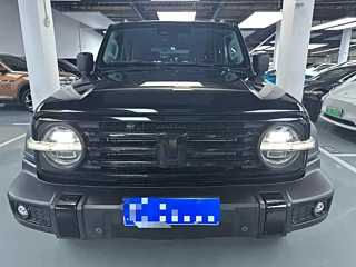 TANK 300  2021