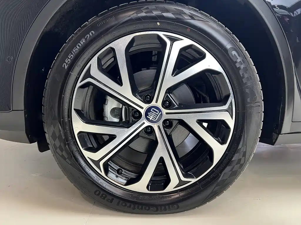 BYD TANG NEW ENERGY 2025