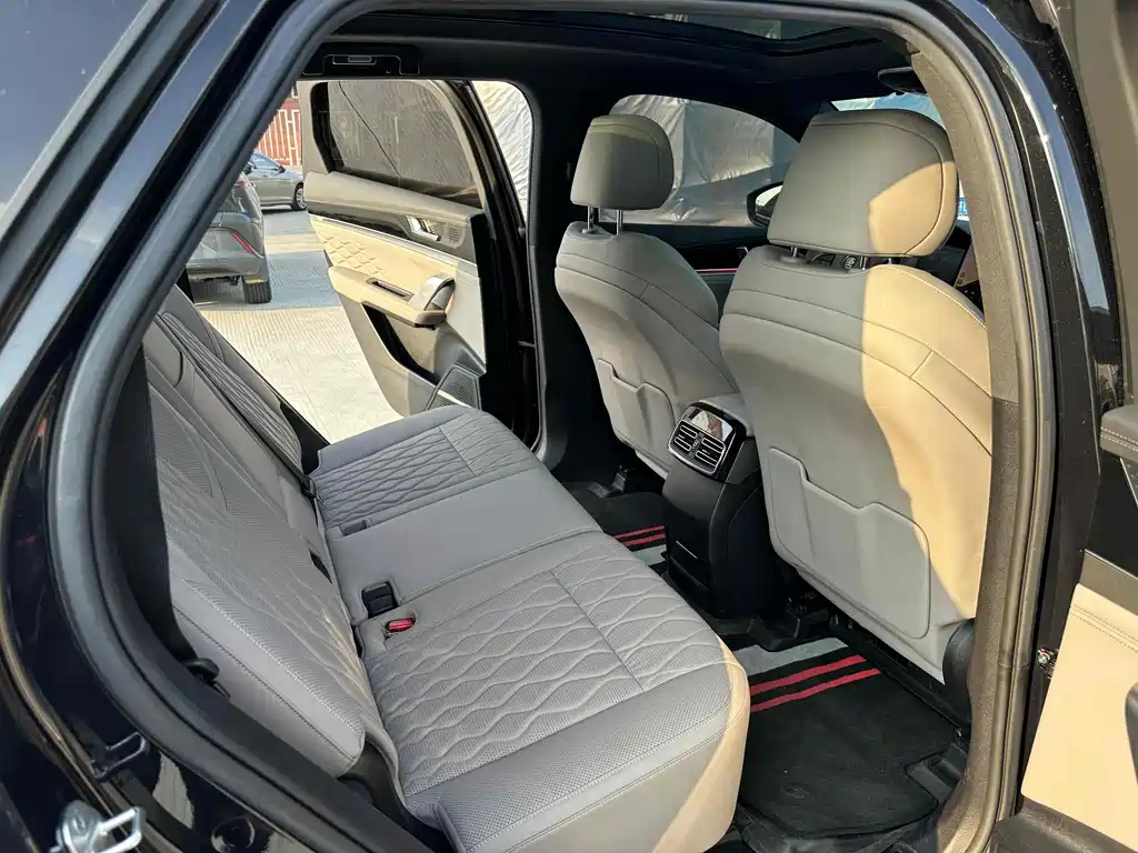 BYD TANG NEW ENERGY 2024