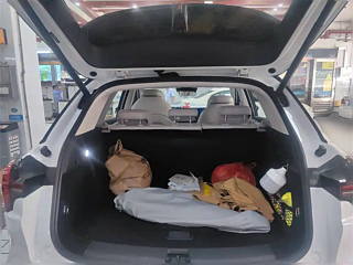 NETA AUTO L  2024 YEAR RANGE-EXTENDING 310 &#38378;&#20805;&#32418;&#34915; E 2024