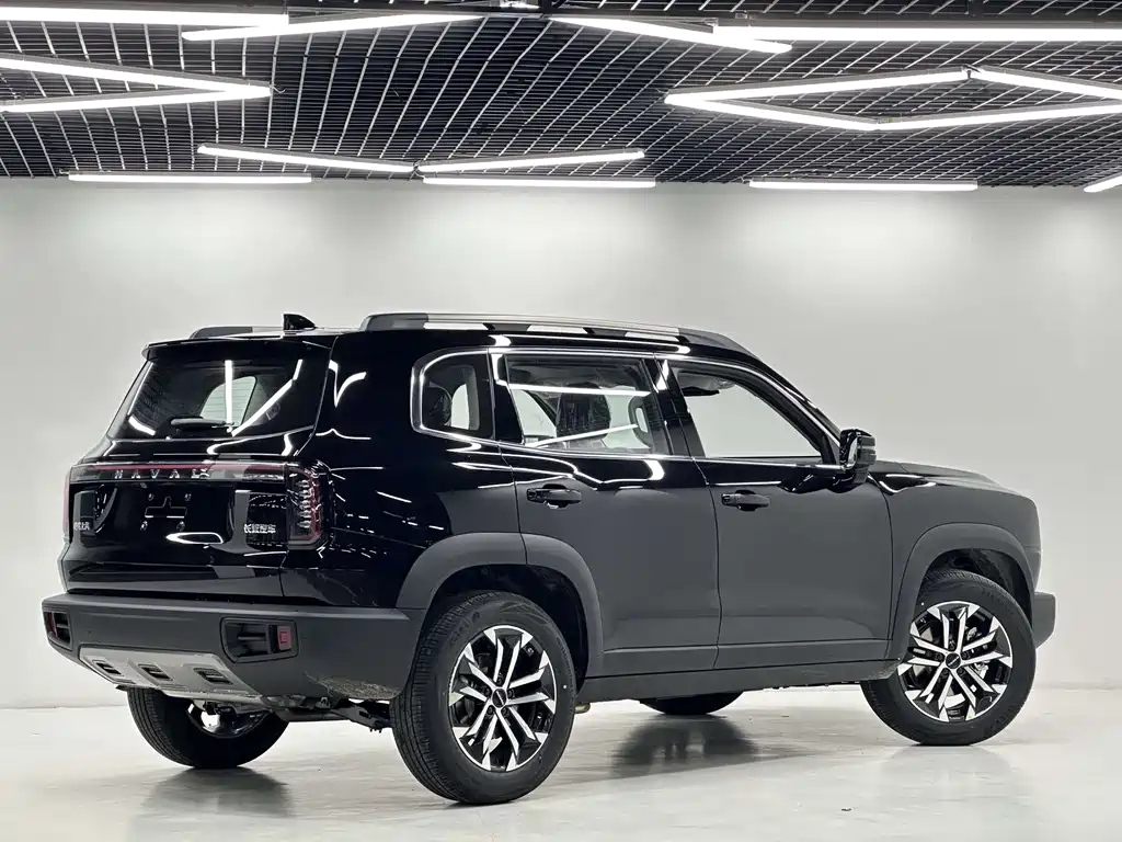 HAVAL BIG DOG 2024
