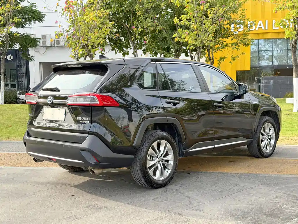 TOYOTA WILDLANDER 2020