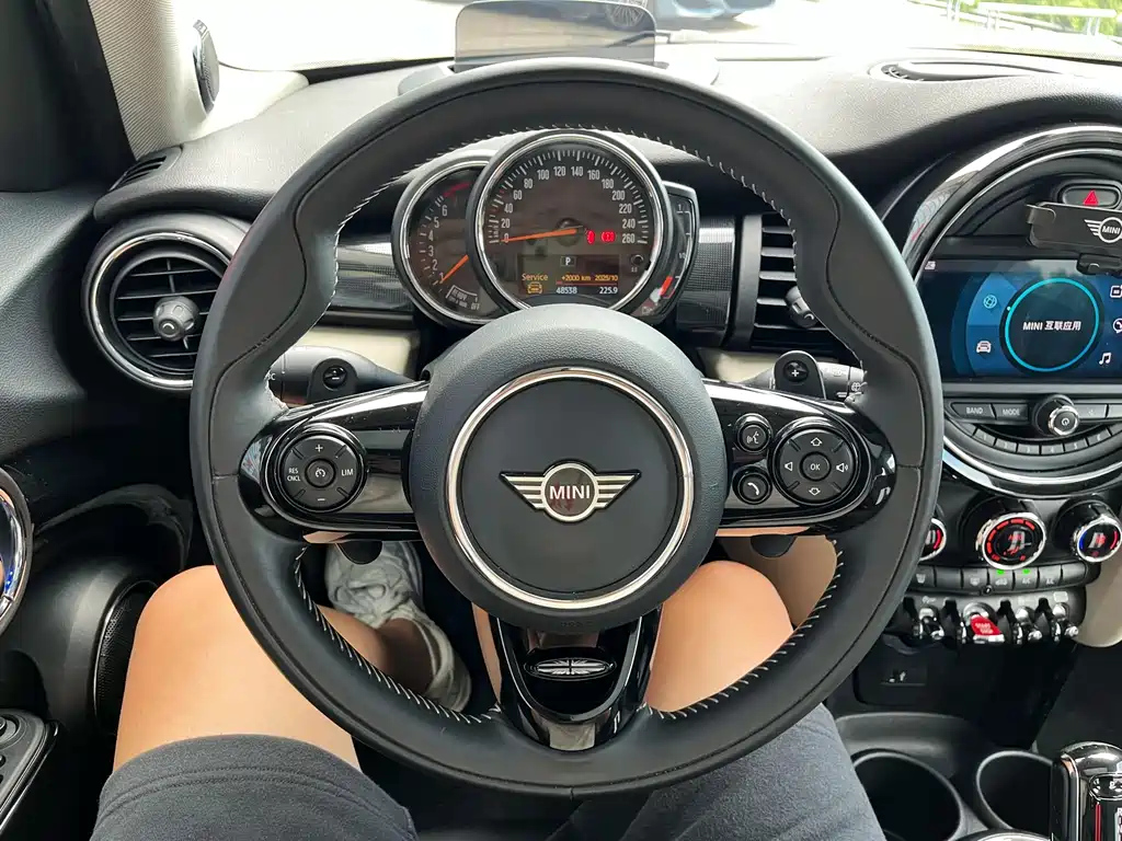 MINI OTHER 2020