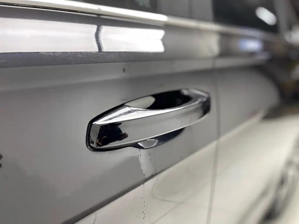 VOLKSWAGEN LAVIDA 2022