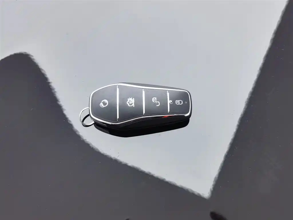 BYD TANG NEW ENERGY 2024