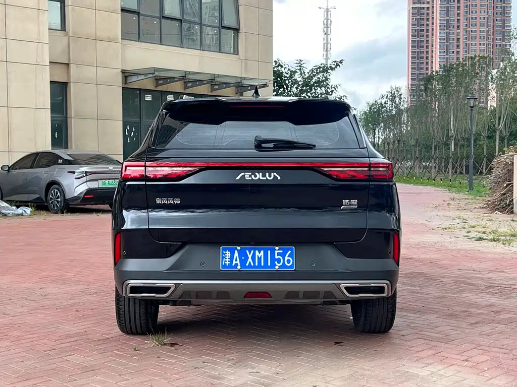 DONGFENG OTHER 2022
