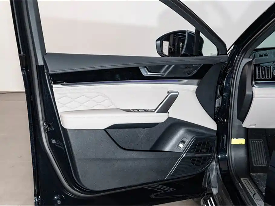 BYD TANG NEW ENERGY 2025