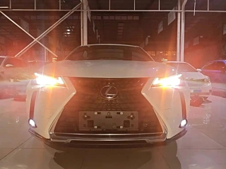 LEXUS UX NEW ENERGY  2020 YEAR 300E &#32431;.&#24742; EDITION 2020