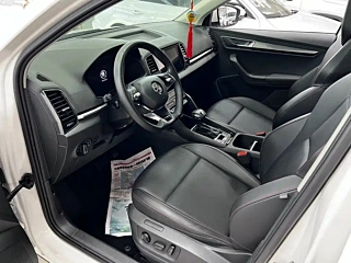 SKODA &#26607;&#29662;&#20811;  2022